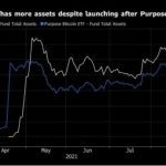 赢者通吃？加拿大比特币ETF BTCQ后来居上缩略图